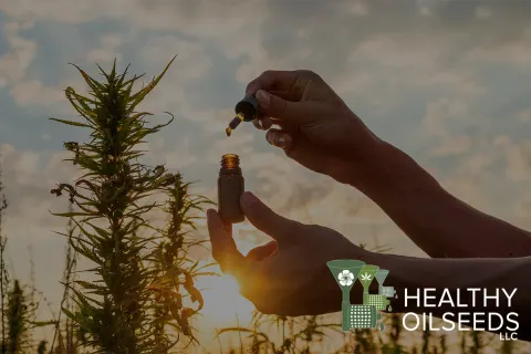 Healthy Oilseeds LLC